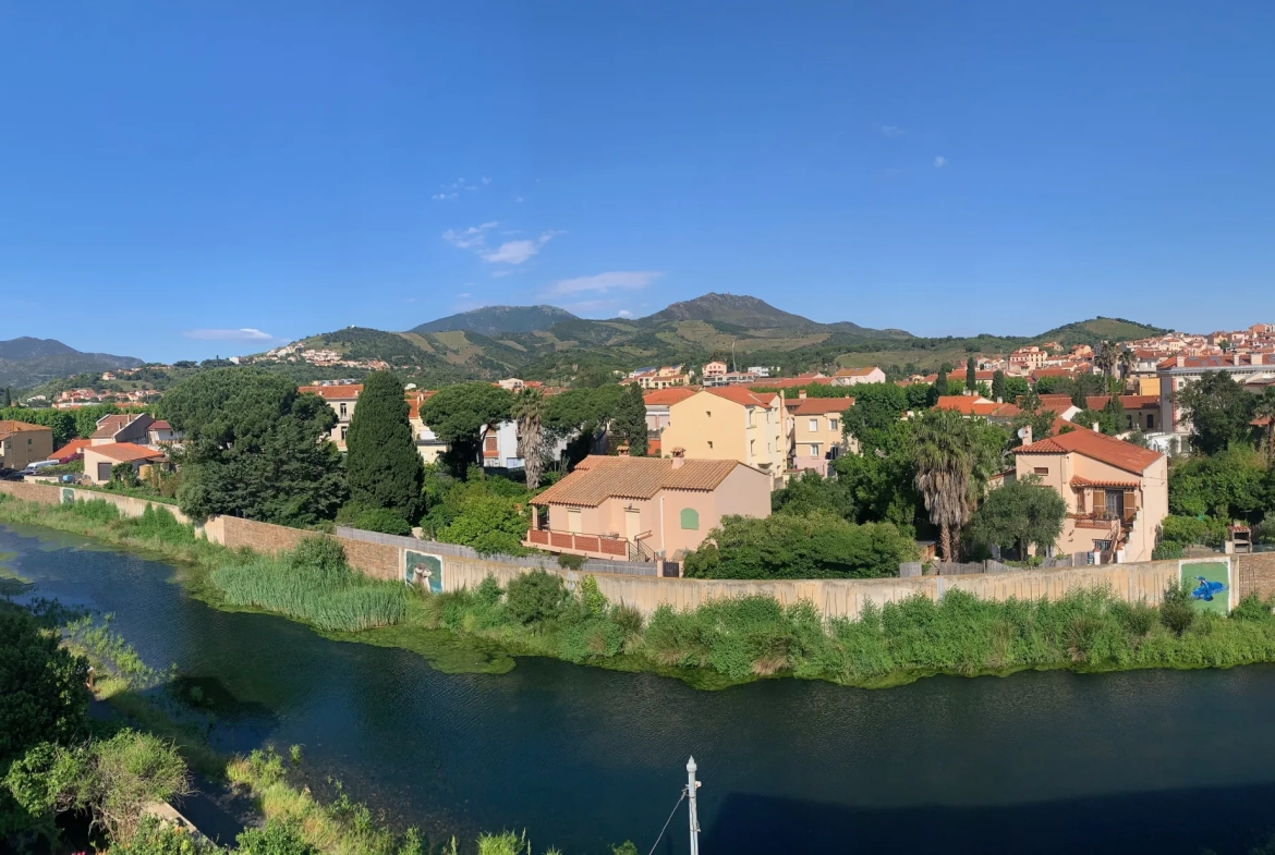 Appartement T1 rénové avec terrasse à Banyuls-sur-Mer - Vue exceptionnelle 