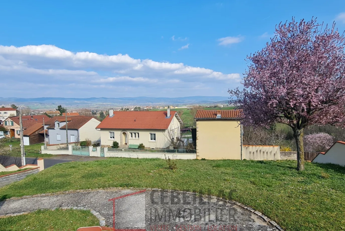 Maison 170 m² avec piscine et grand terrain à Brioude 