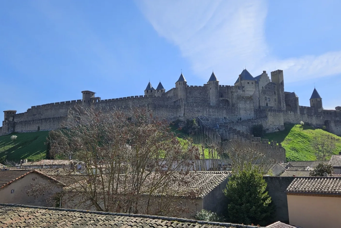 Studio avec garage et cellier à vendre à Carcassonne - Emplacement privilégié 