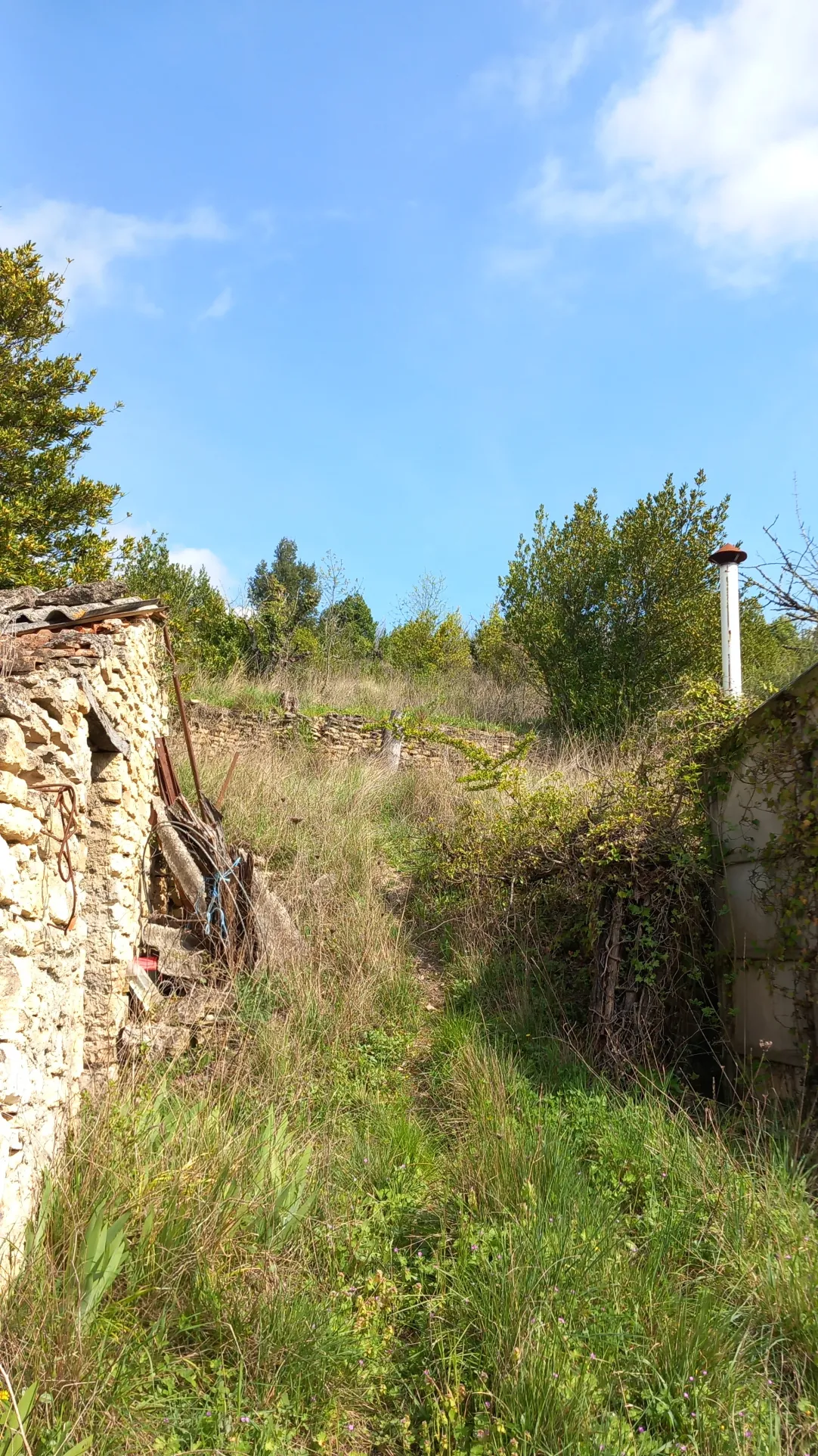 Terrain en restanques avec petit maset à Villemagne l'argentiere 34600 
