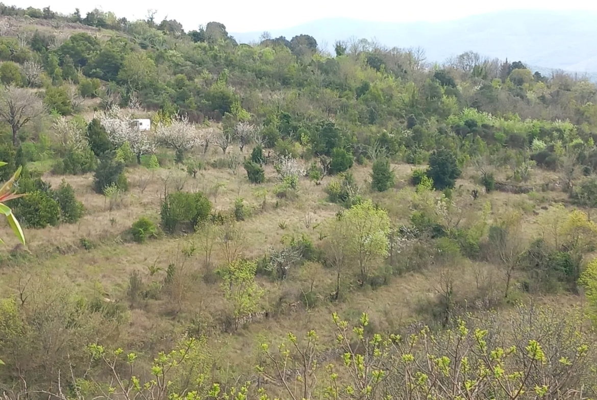 Terrain en restanques avec petit maset à Villemagne l'argentiere 34600 