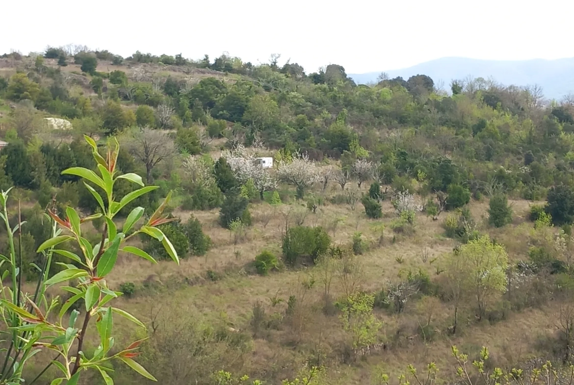 Terrain en restanques avec petit maset à Villemagne l'argentiere 34600 