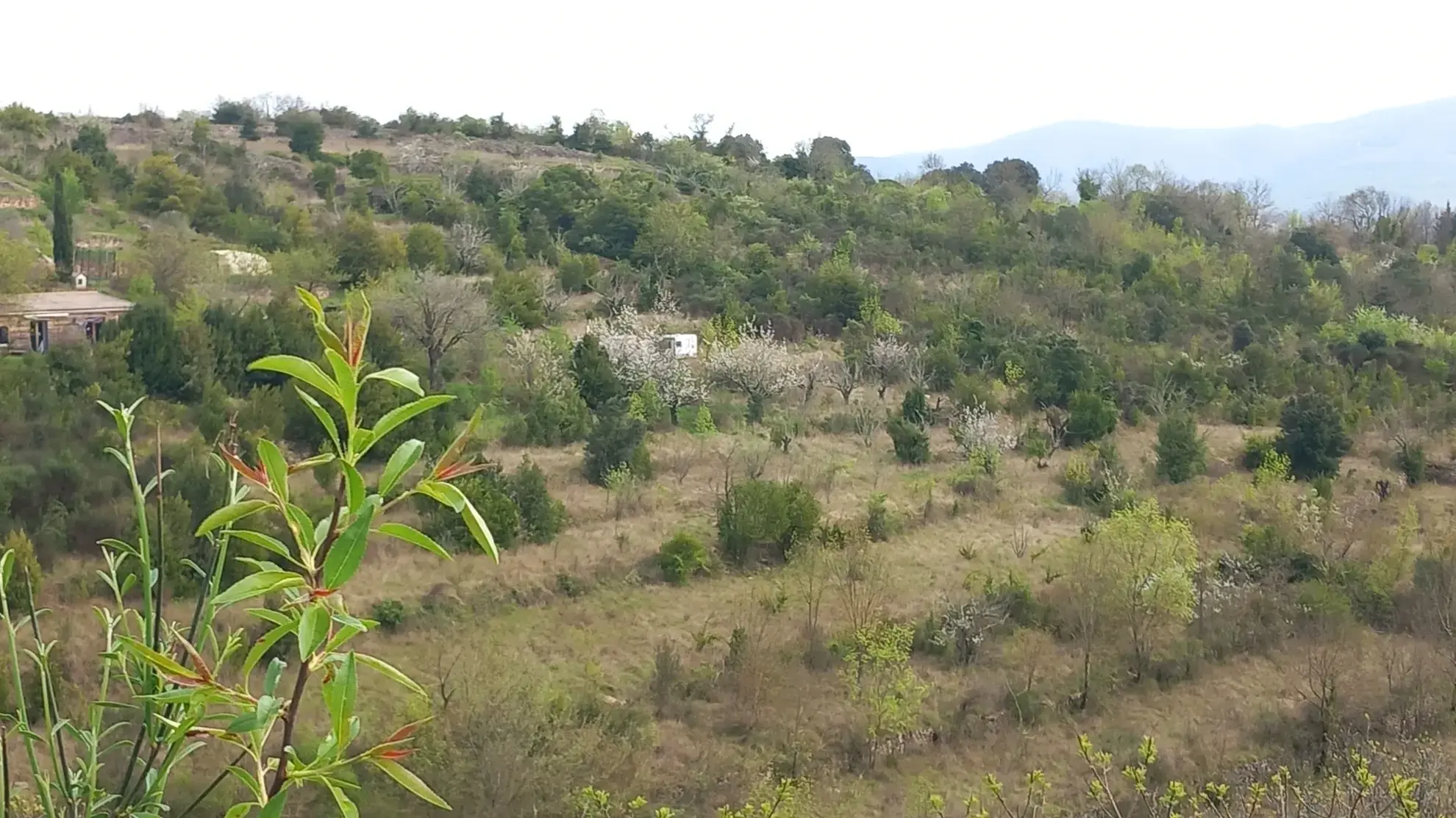 Terrain en restanques avec petit maset à Villemagne l'argentiere 34600 