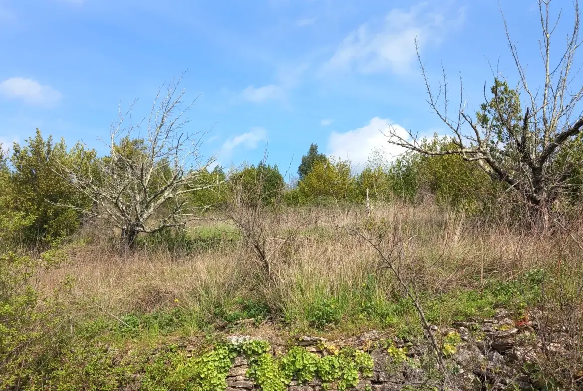Terrain en restanques avec petit maset à Villemagne l'argentiere 34600 