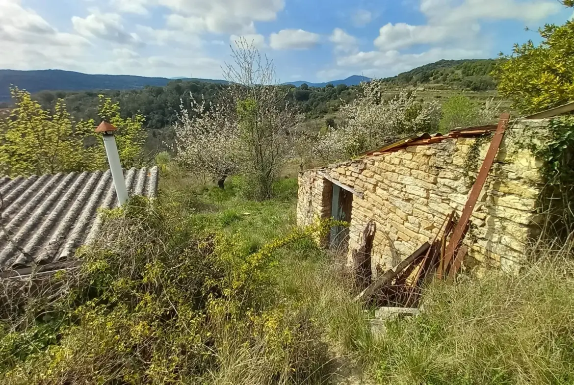 Terrain en restanques avec petit maset à Villemagne l'argentiere 34600 