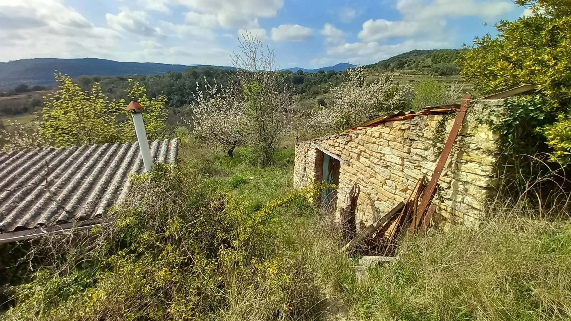 Terrain en restanques avec petit maset à Villemagne l'argentiere 34600 