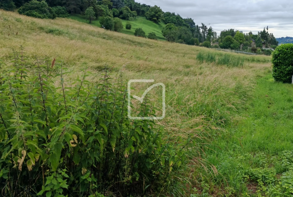 Terrain constructible de 4040 m² à Brive-la-Gaillarde avec vue agréable 