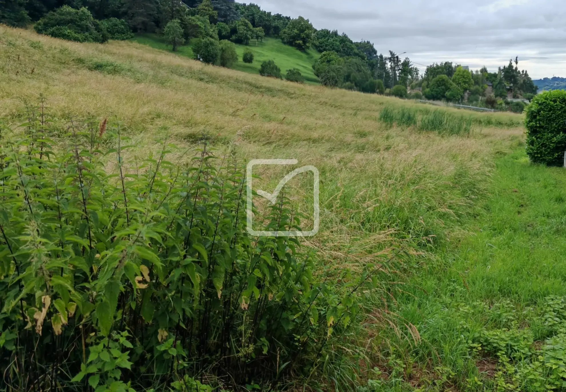 Terrain constructible de 4040 m² à Brive-la-Gaillarde avec vue agréable 