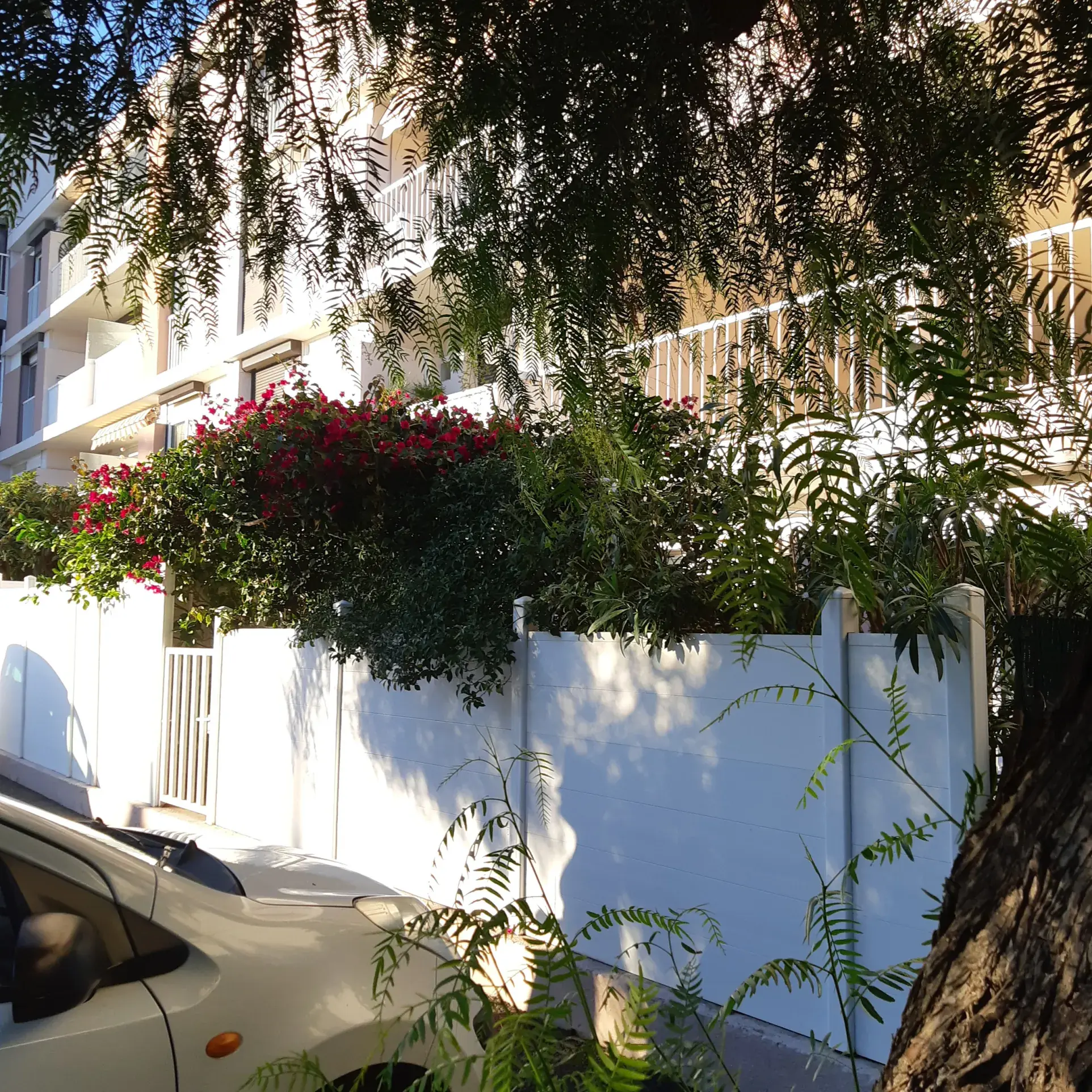 Appartement T3 en rez-de-jardin avec jardin exposé plein sud à Carqueiranne 