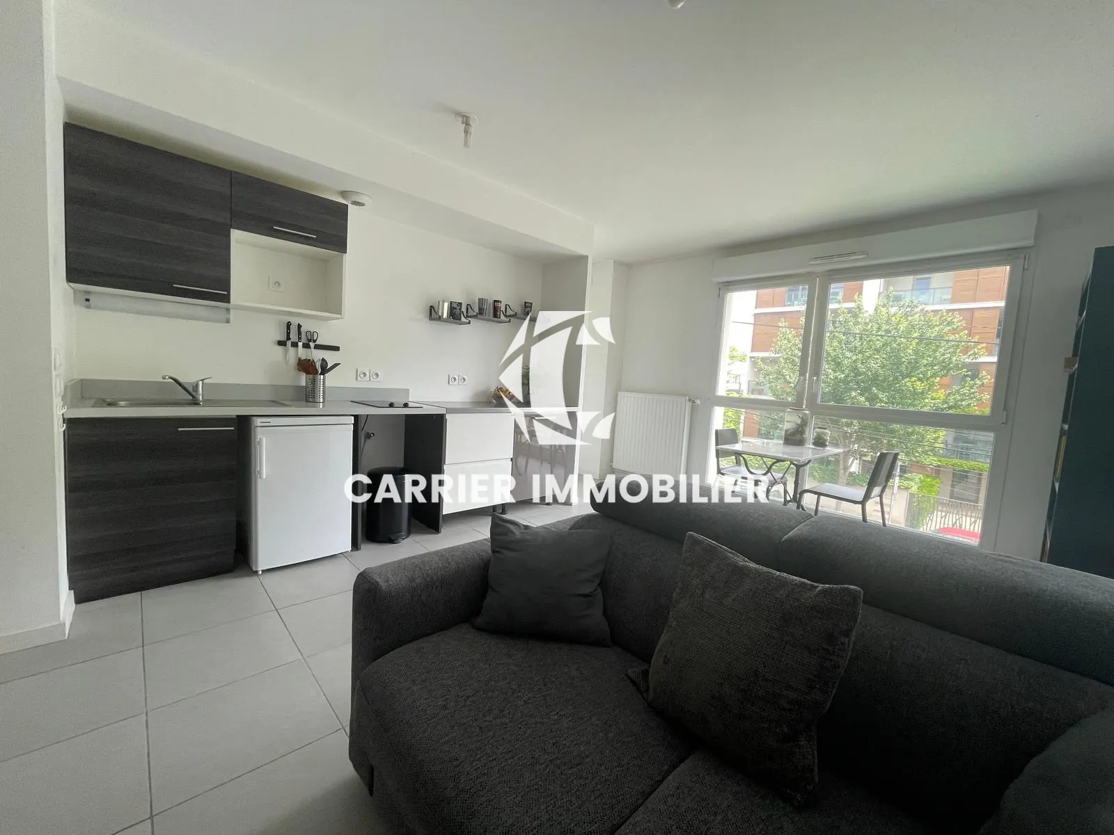 Appartement T2 lumineux avec garage à Tassin, secteur recherché 