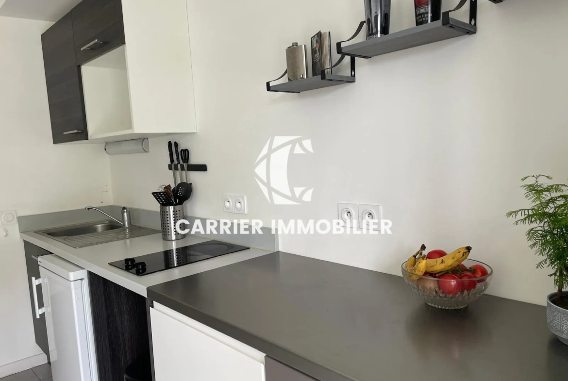 Appartement T2 lumineux avec garage à Tassin, secteur recherché 