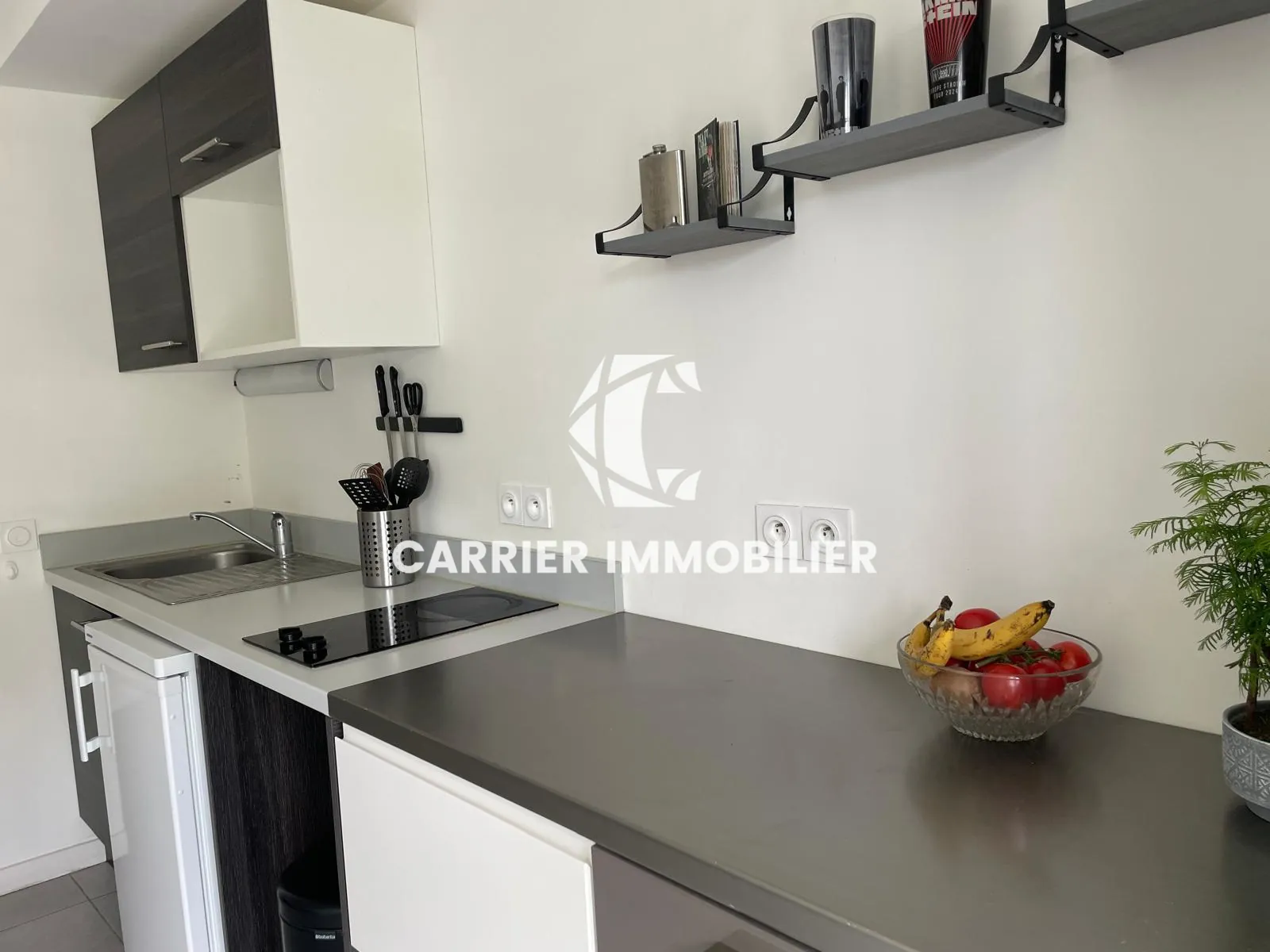 Appartement T2 lumineux avec garage à Tassin, secteur recherché 