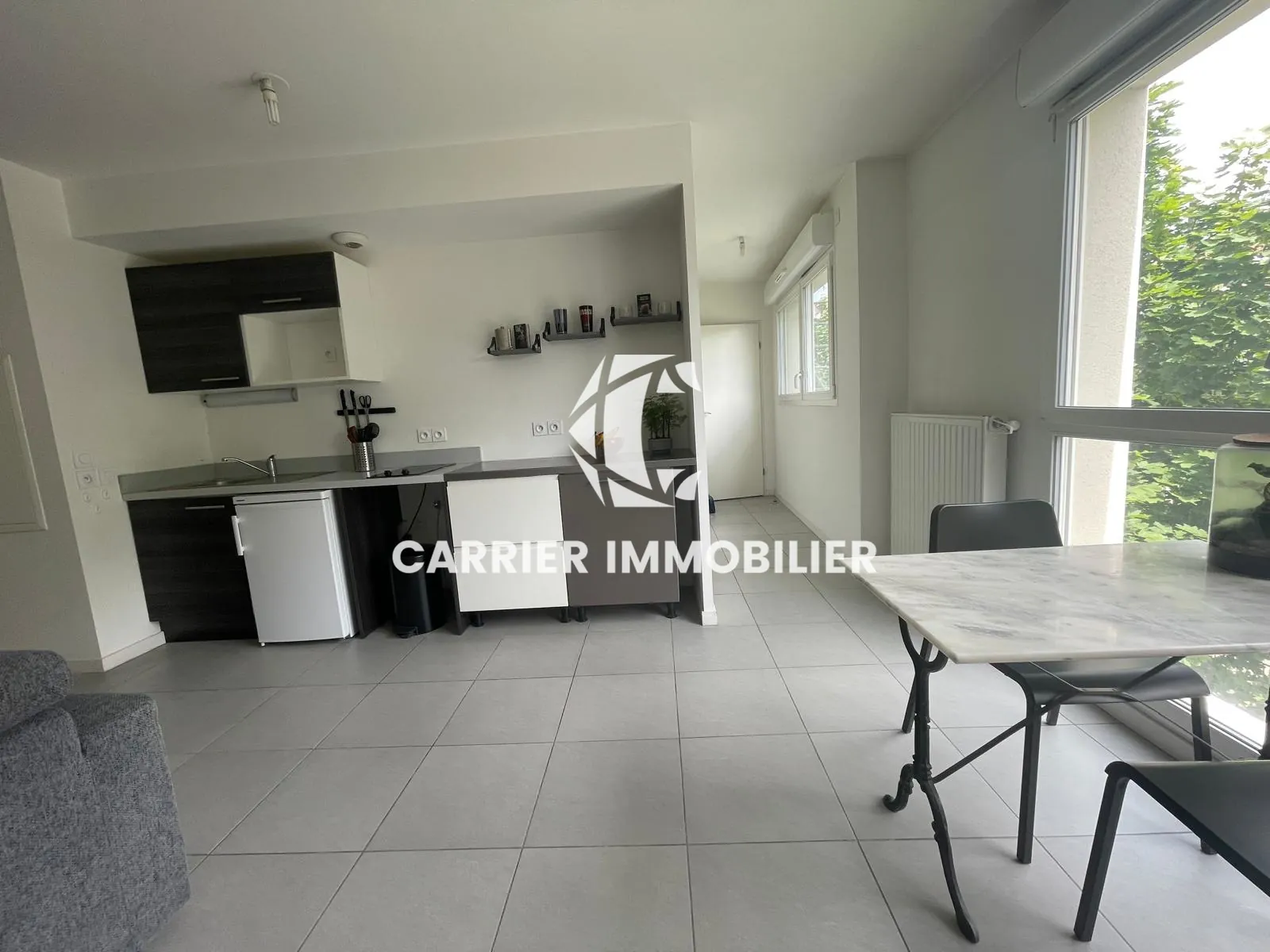 Appartement T2 lumineux avec garage à Tassin, secteur recherché 