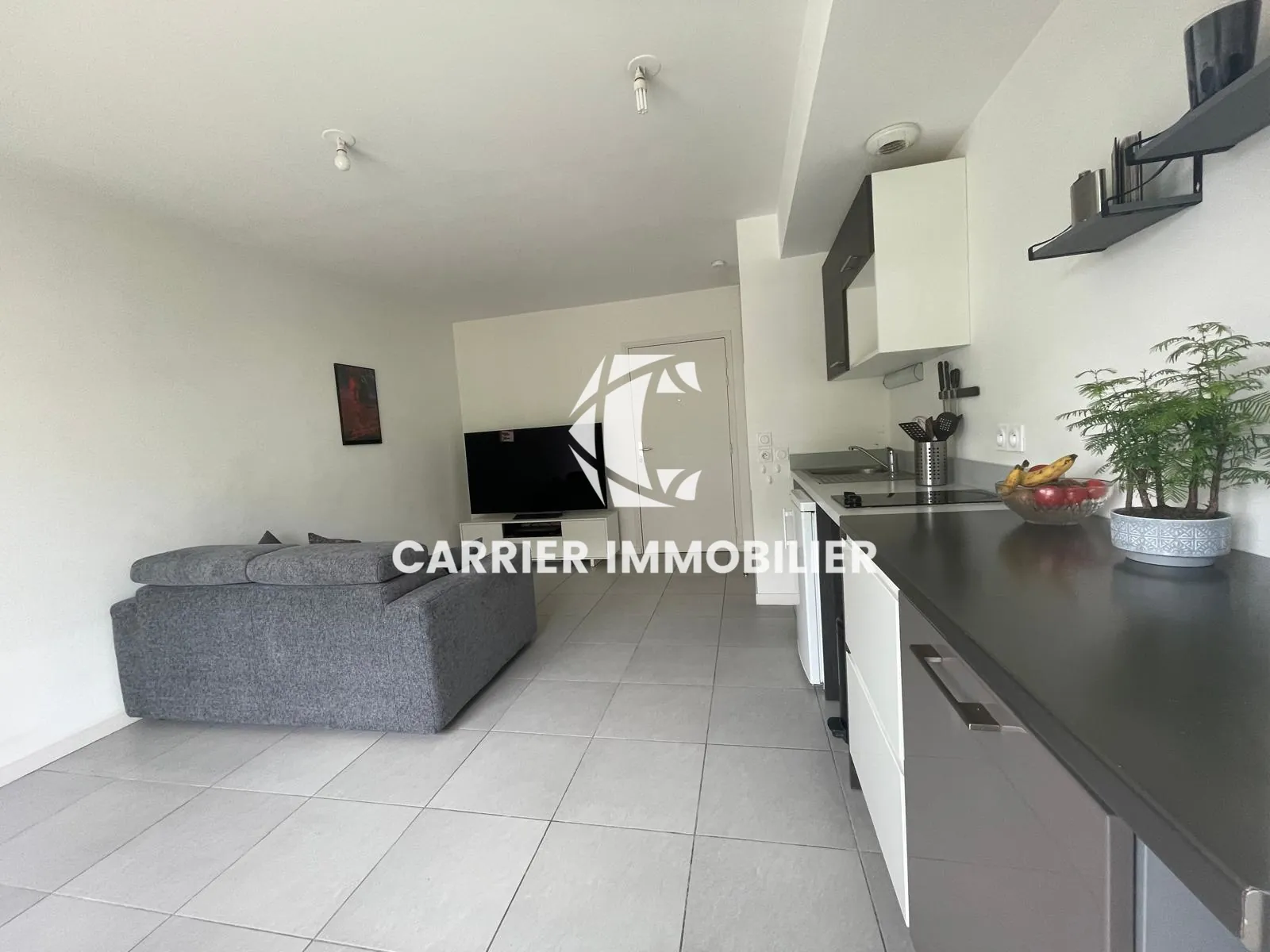 Appartement T2 lumineux avec garage à Tassin, secteur recherché 