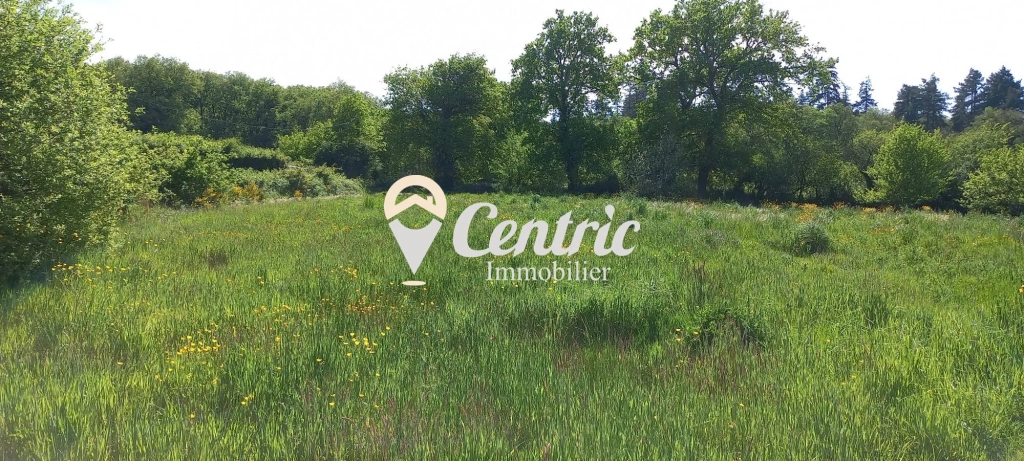 Terrain constructible de 1821 m² proche Bressuire - Opportunité rare
