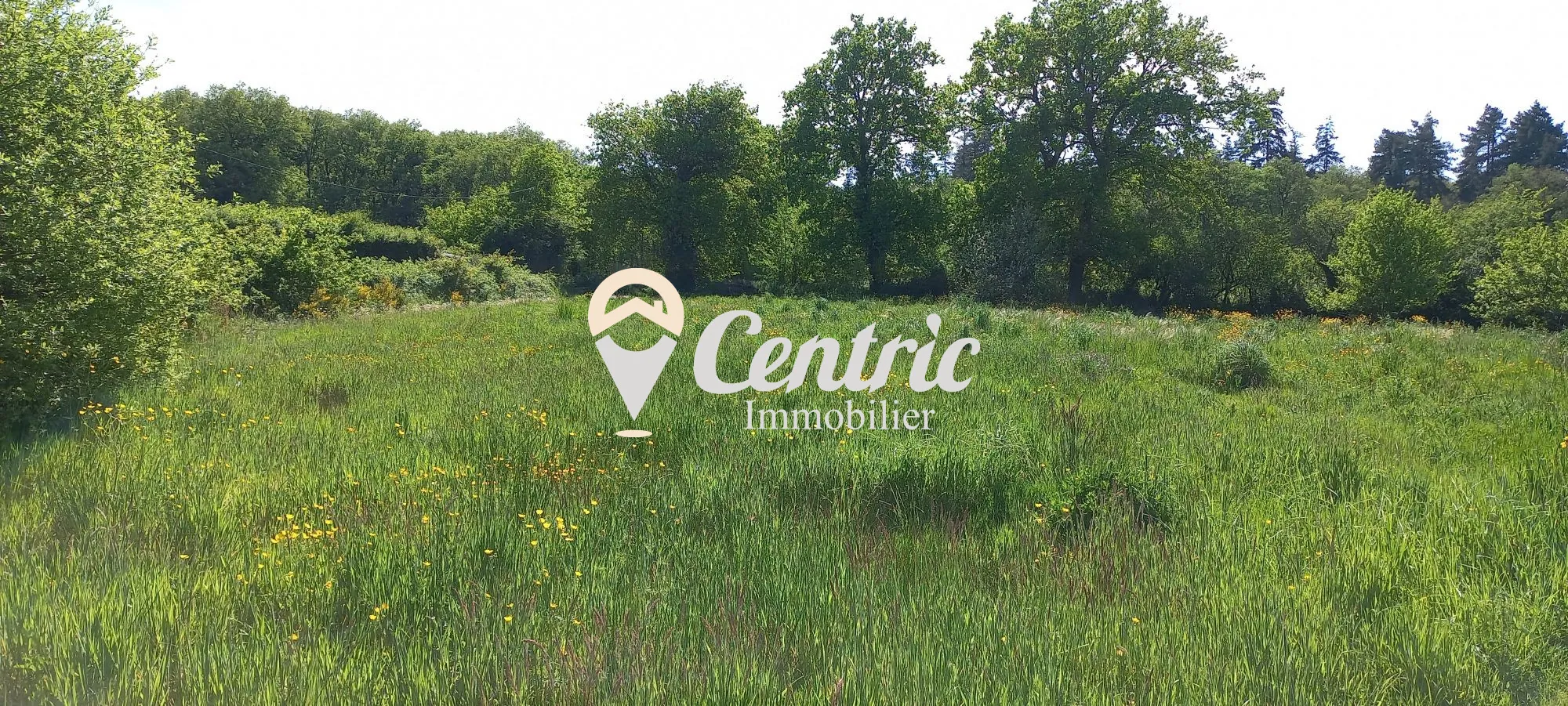 Terrain constructible de 1821 m² proche Bressuire - Opportunité rare 