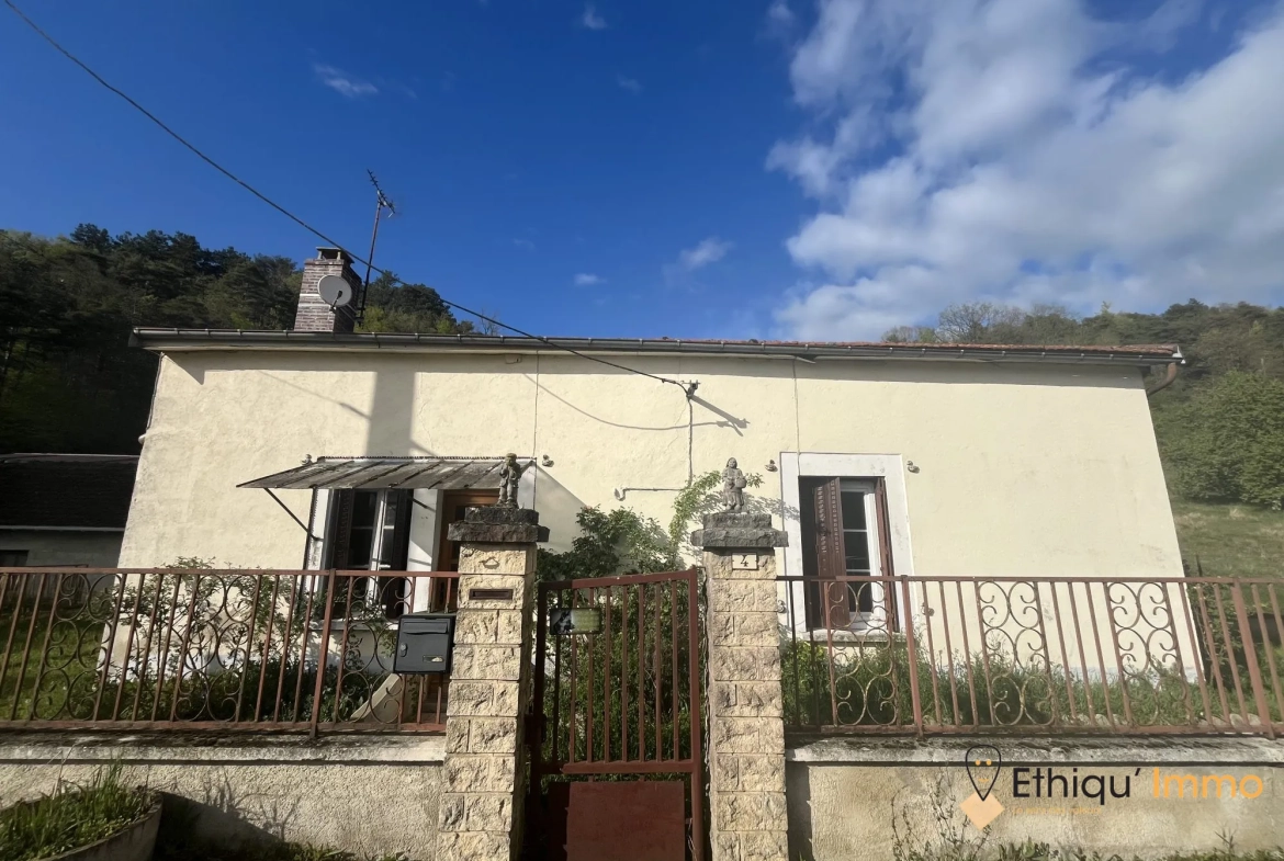 Ensemble immobilier de 56 ares à Dolancourt - Maison, Hangar et Terrain à Vendre 