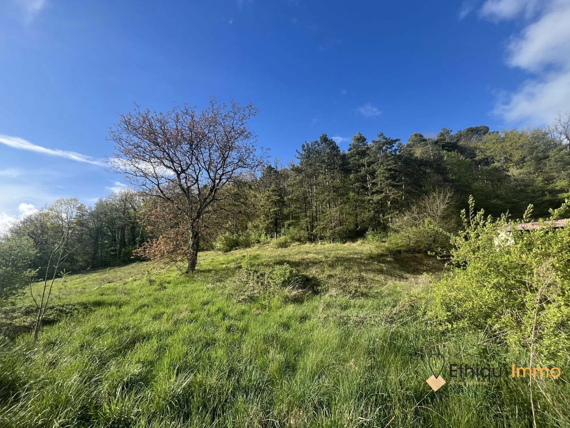 Ensemble immobilier de 56 ares à Dolancourt - Maison, Hangar et Terrain à Vendre 