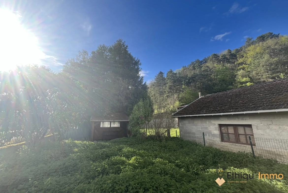 Ensemble immobilier de 56 ares à Dolancourt - Maison, Hangar et Terrain à Vendre 