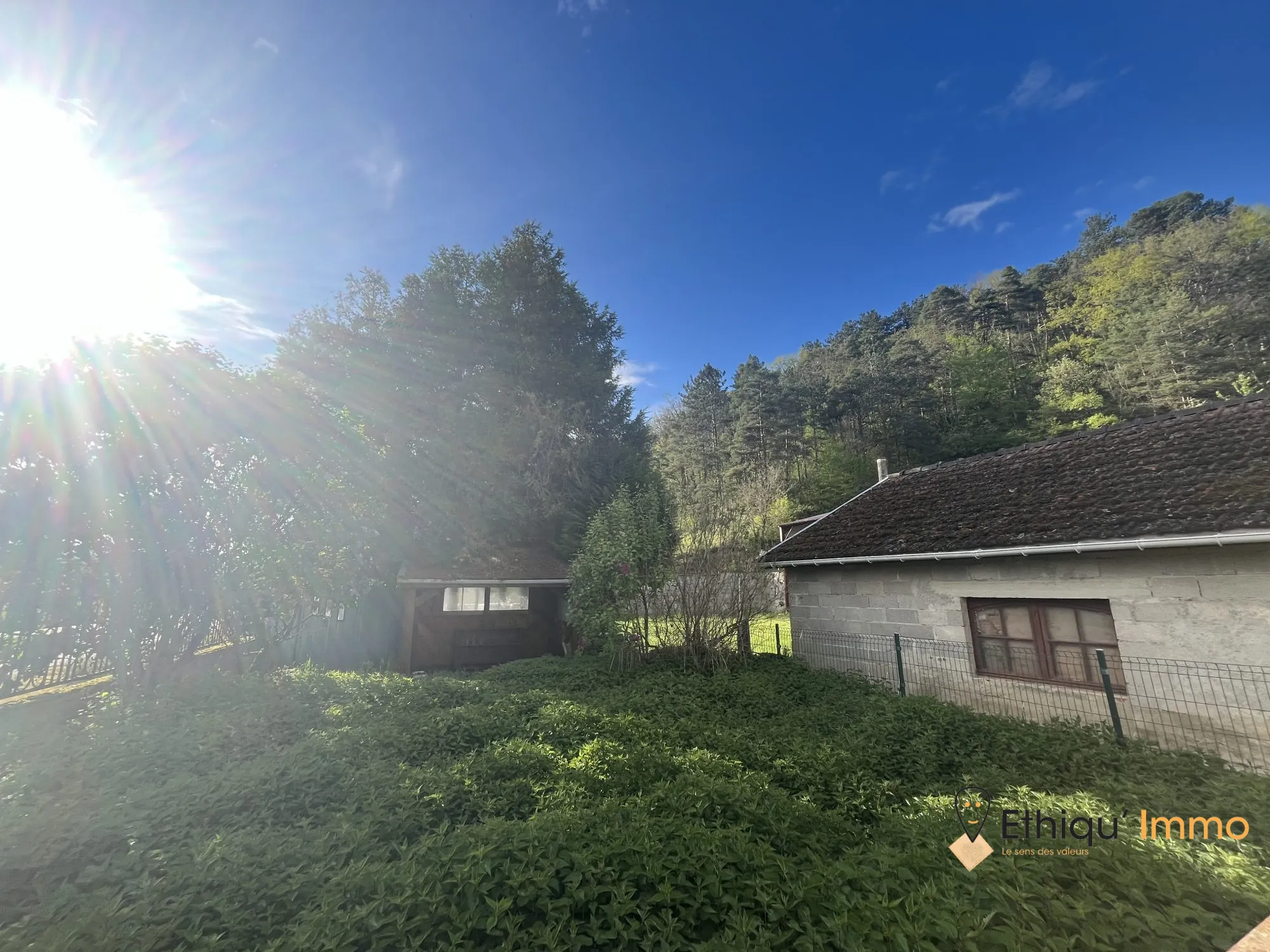 Ensemble immobilier de 56 ares à Dolancourt - Maison, Hangar et Terrain à Vendre 