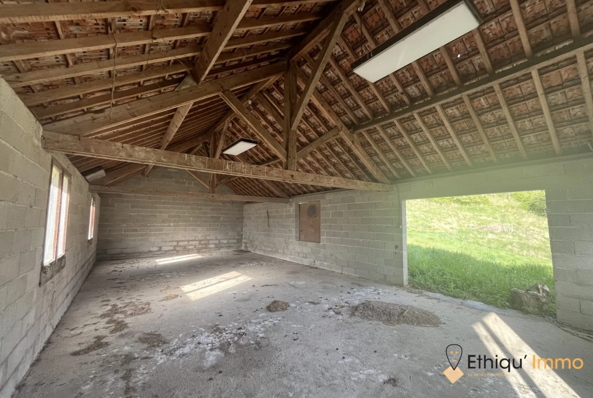 Ensemble immobilier de 56 ares à Dolancourt - Maison, Hangar et Terrain à Vendre 