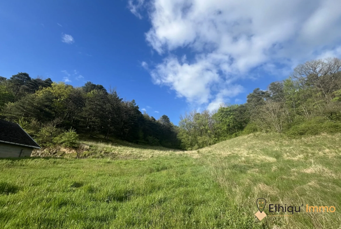Ensemble immobilier de 56 ares à Dolancourt - Maison, Hangar et Terrain à Vendre 