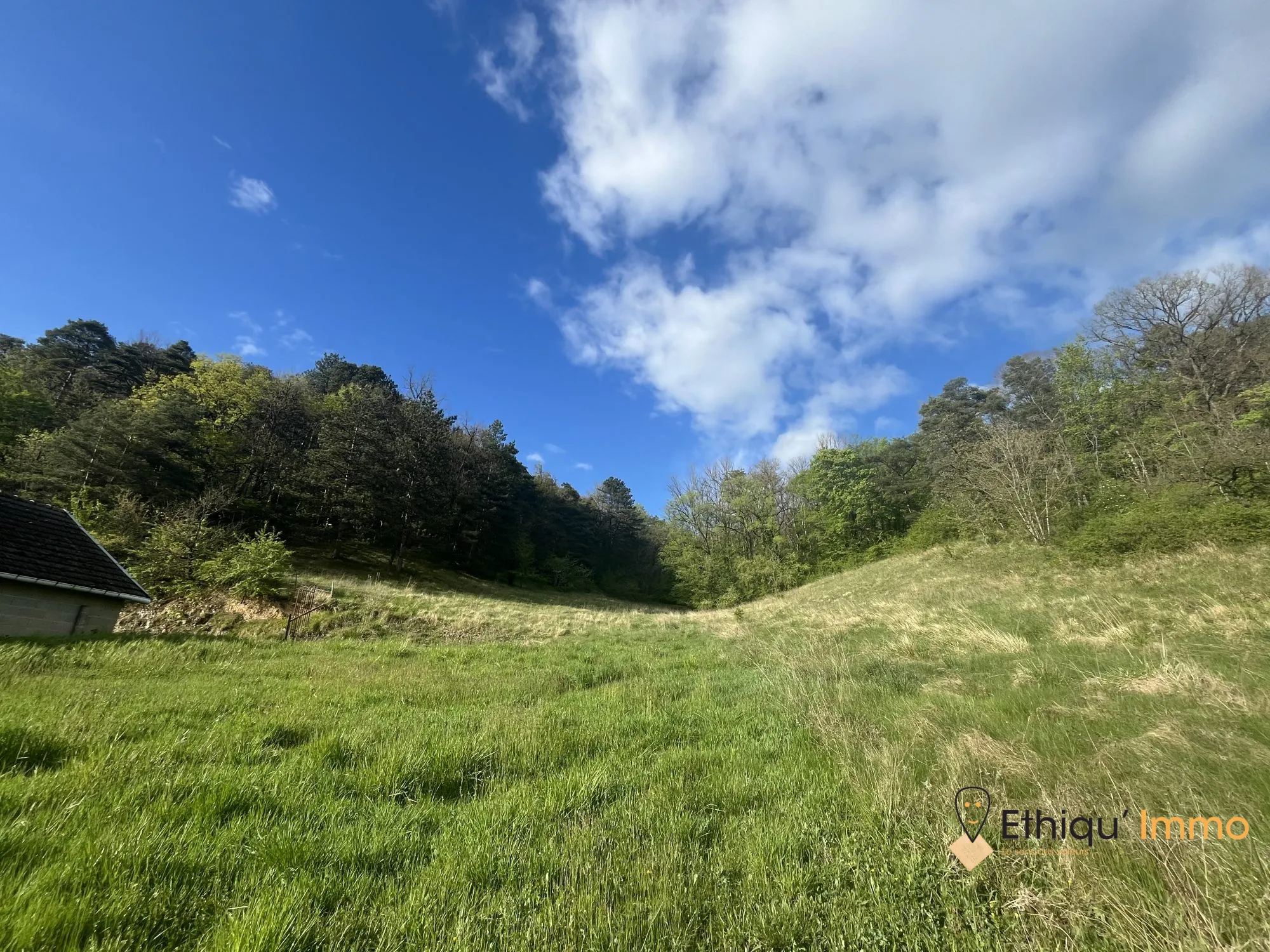 Ensemble immobilier de 56 ares à Dolancourt - Maison, Hangar et Terrain à Vendre 