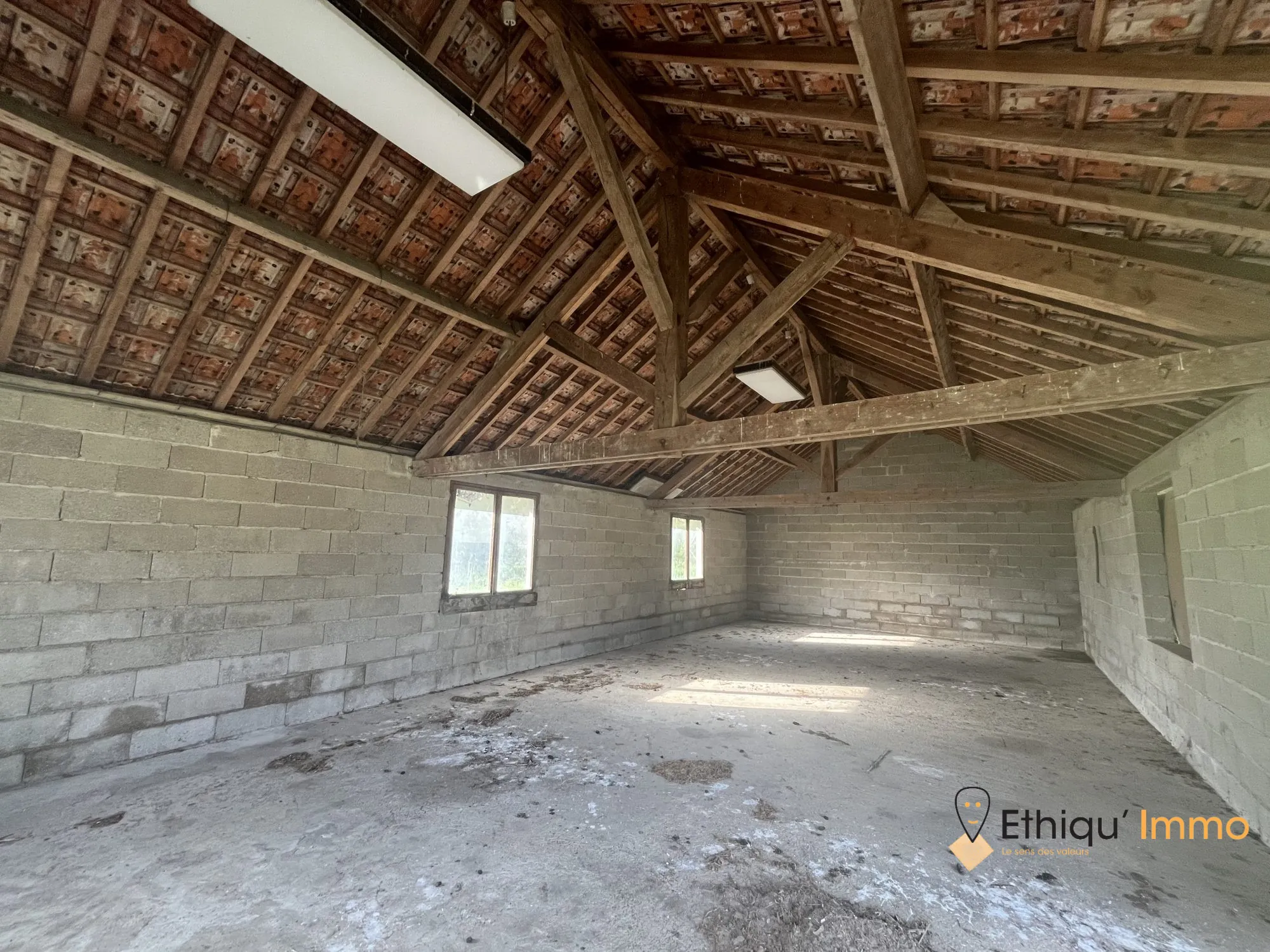 Ensemble immobilier de 56 ares à Dolancourt - Maison, Hangar et Terrain à Vendre 