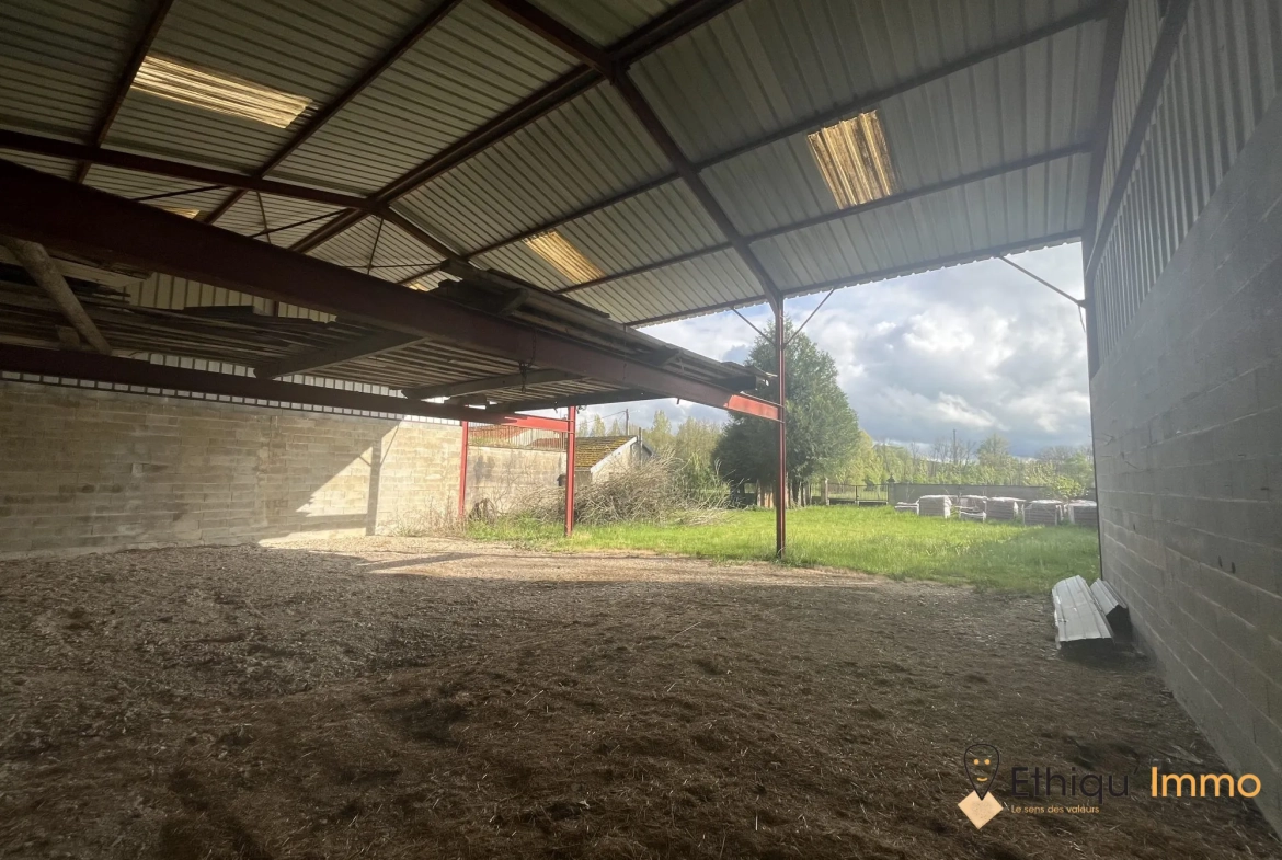 Ensemble immobilier de 56 ares à Dolancourt - Maison, Hangar et Terrain à Vendre 