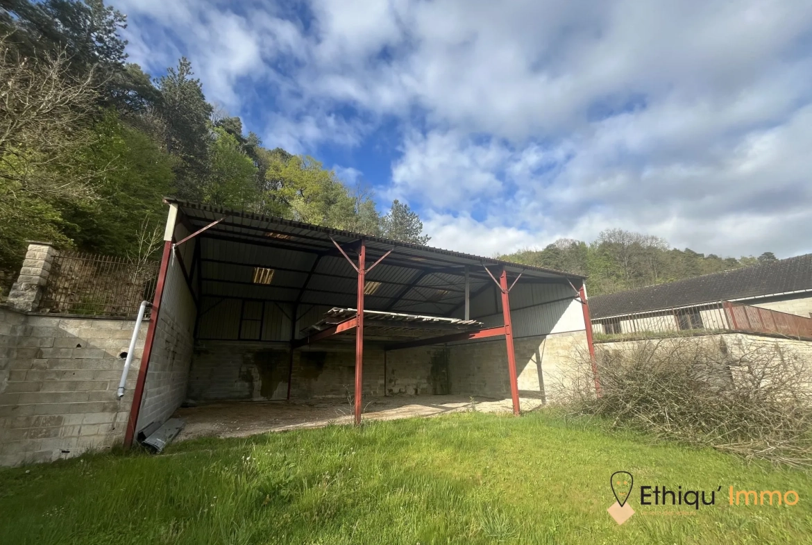 Ensemble immobilier de 56 ares à Dolancourt - Maison, Hangar et Terrain à Vendre 