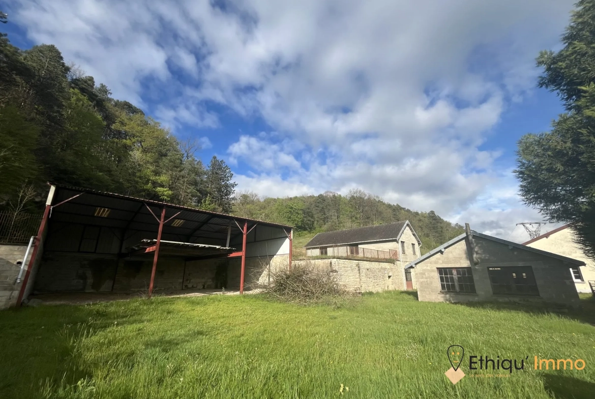 Ensemble immobilier de 56 ares à Dolancourt - Maison, Hangar et Terrain à Vendre 