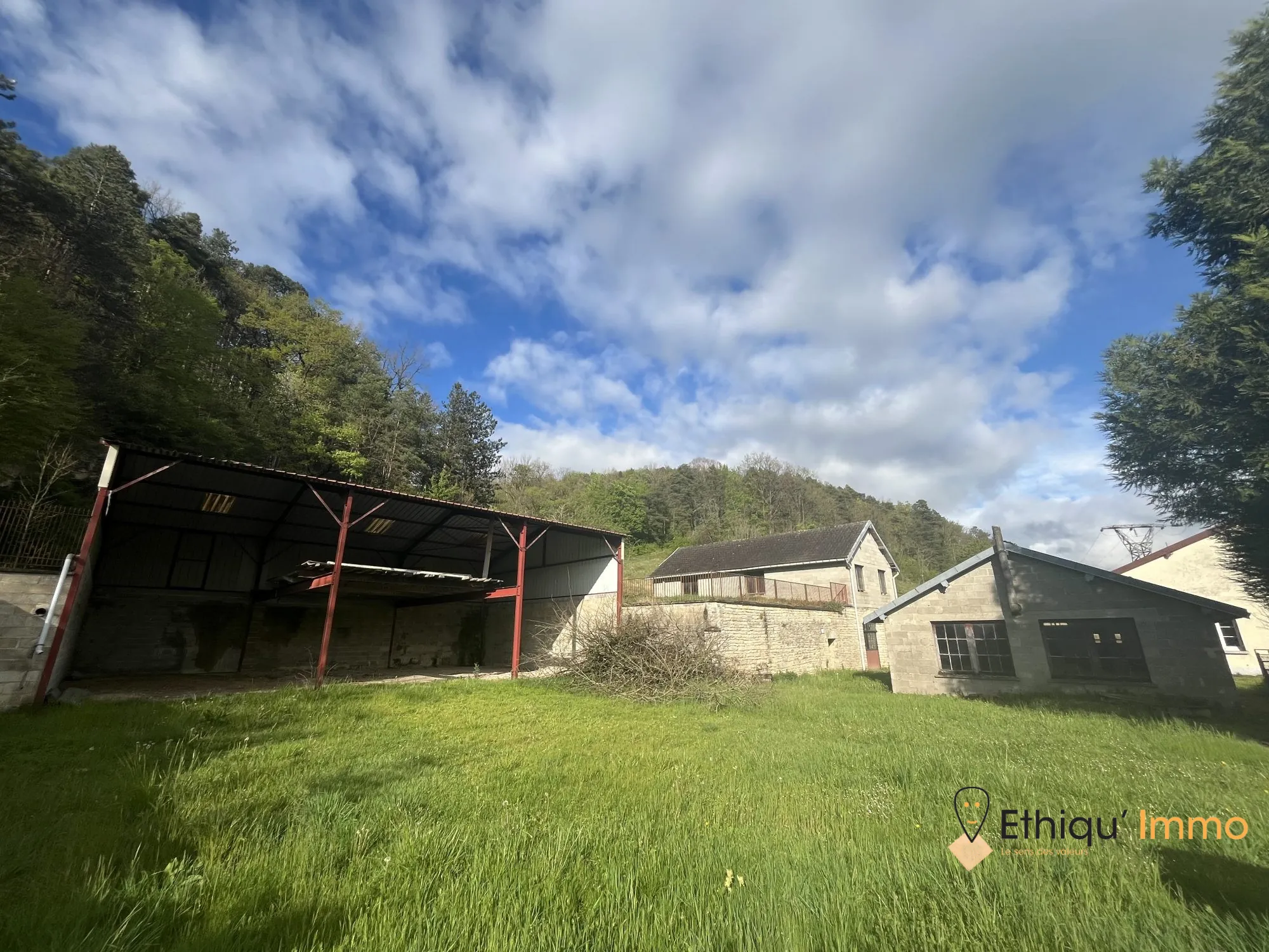 Ensemble immobilier de 56 ares à Dolancourt - Maison, Hangar et Terrain à Vendre 