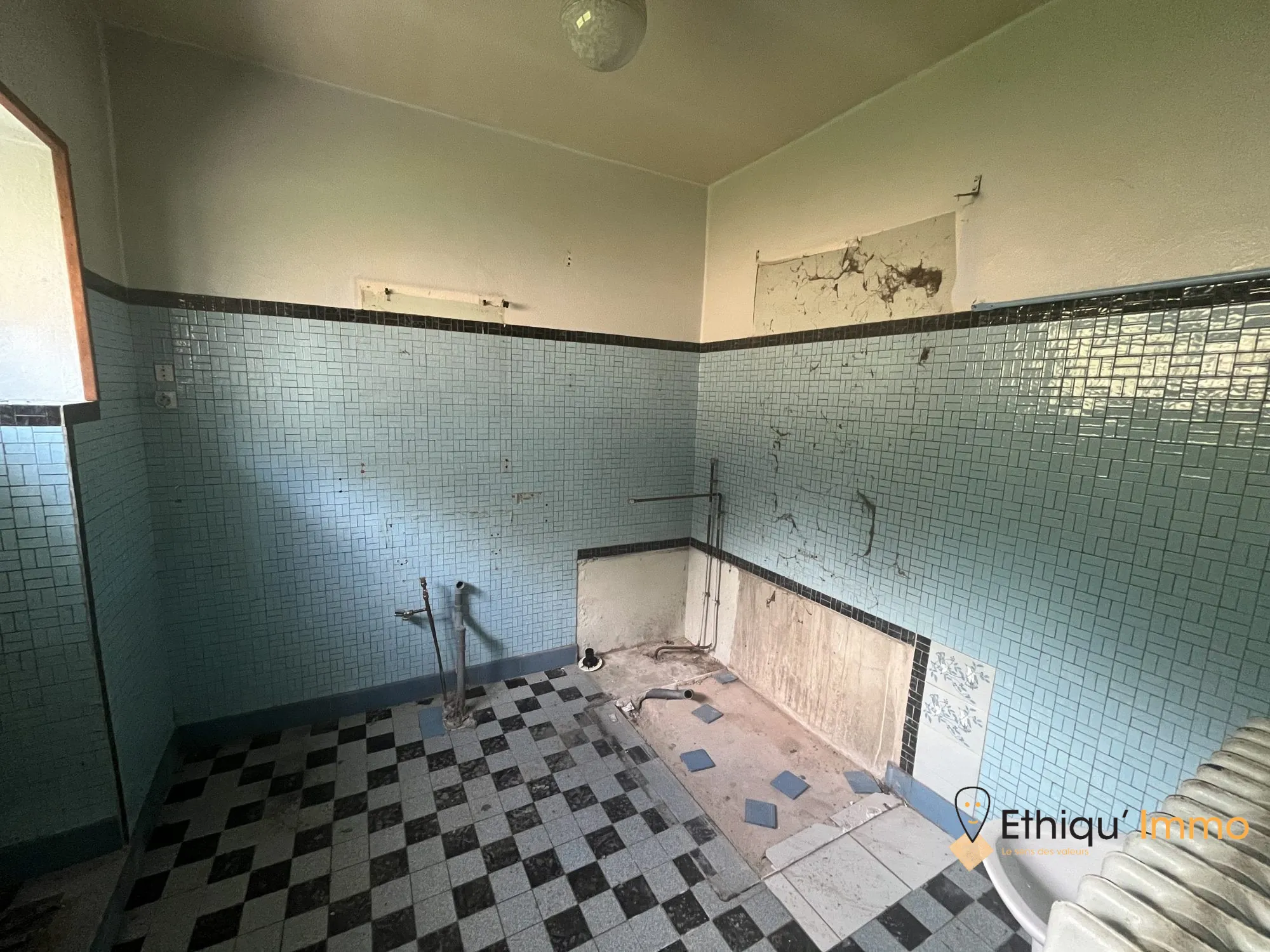 Ensemble immobilier de 56 ares à Dolancourt - Maison, Hangar et Terrain à Vendre 
