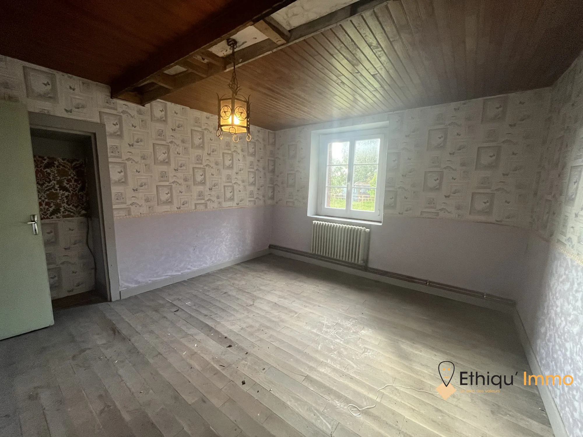 Ensemble immobilier de 56 ares à Dolancourt - Maison, Hangar et Terrain à Vendre 