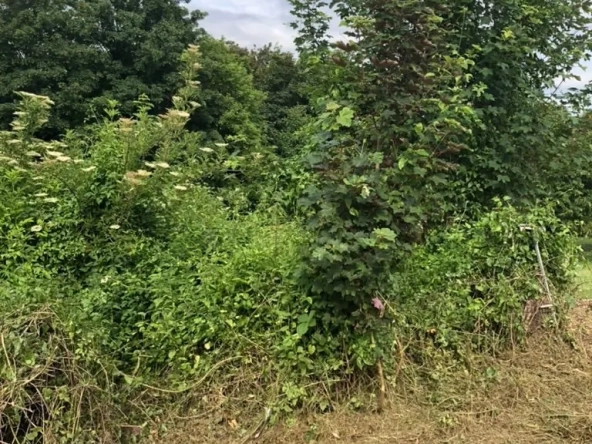 Terrain constructible à Jouarre proche commodités, secteur recherché