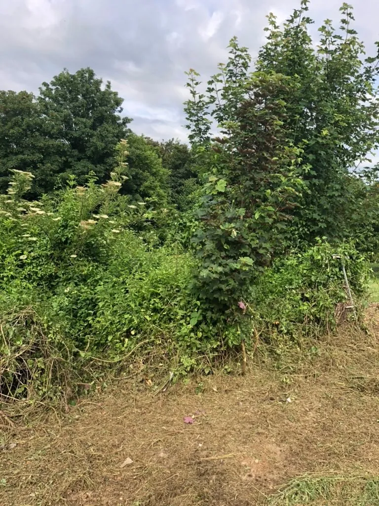 Terrain constructible à Jouarre proche commodités, secteur recherché 