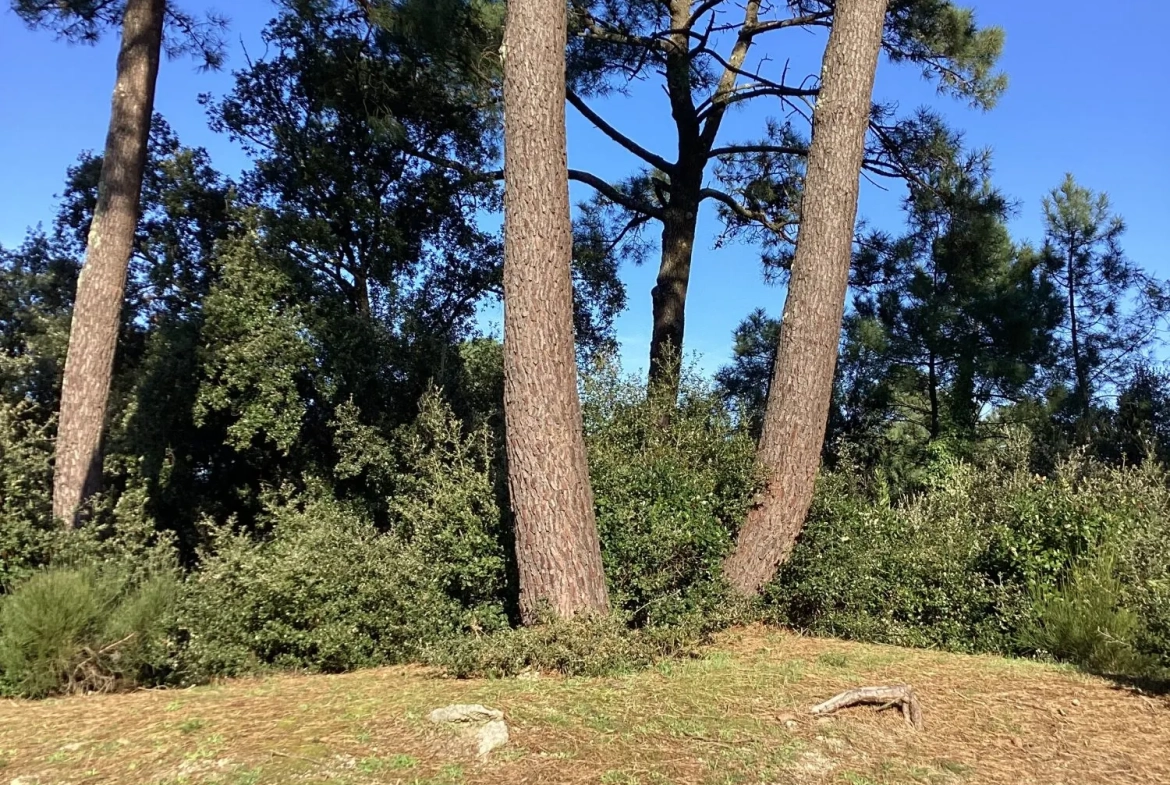 COTE FORET Charmant T1 avec terrasse au Verdon-sur-Mer, résidence calme proche plages et commerces 