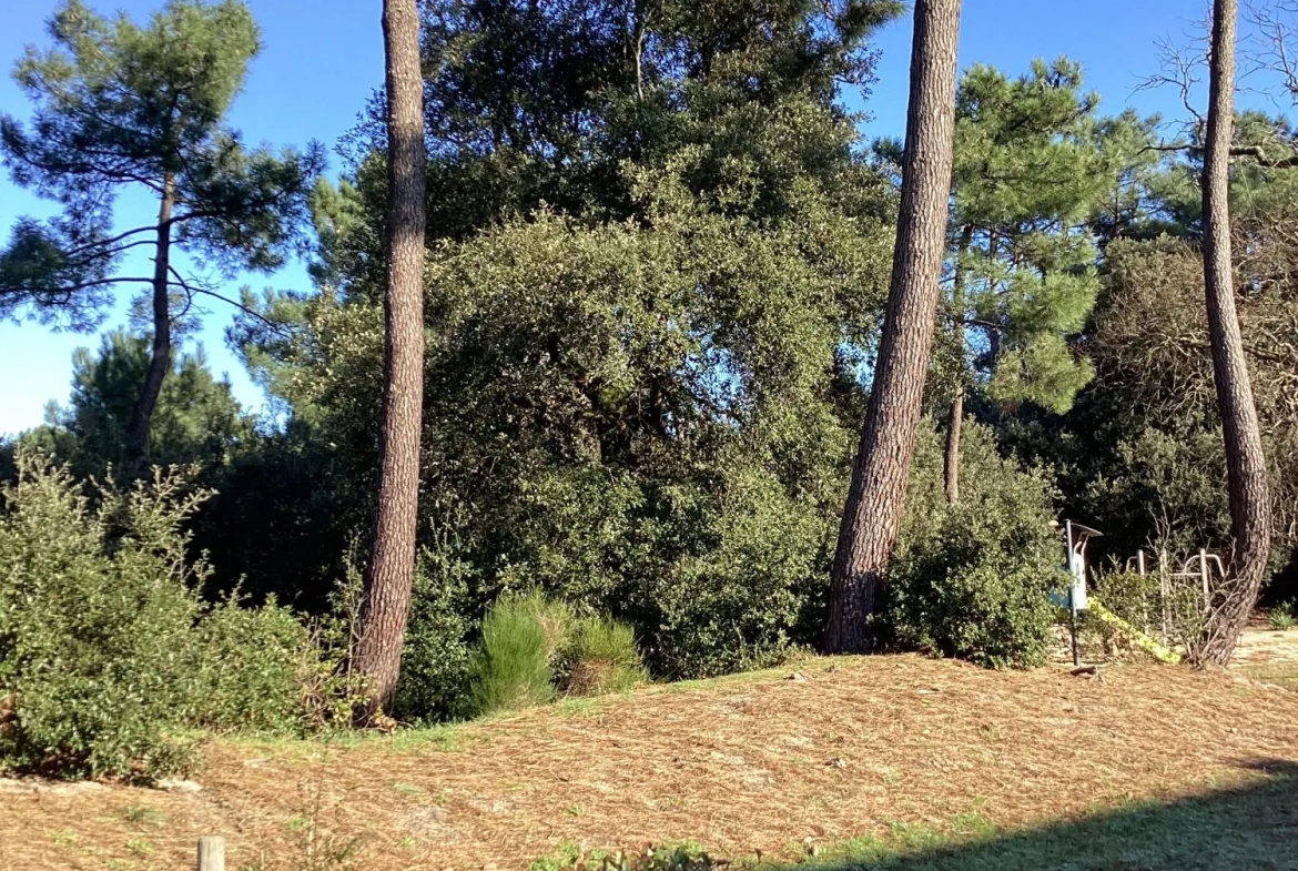 FORET + JEUX D'ENFANTS Charmant T1 avec terrasse au Verdon-sur-Mer, résidence calme proche plages et commerces 