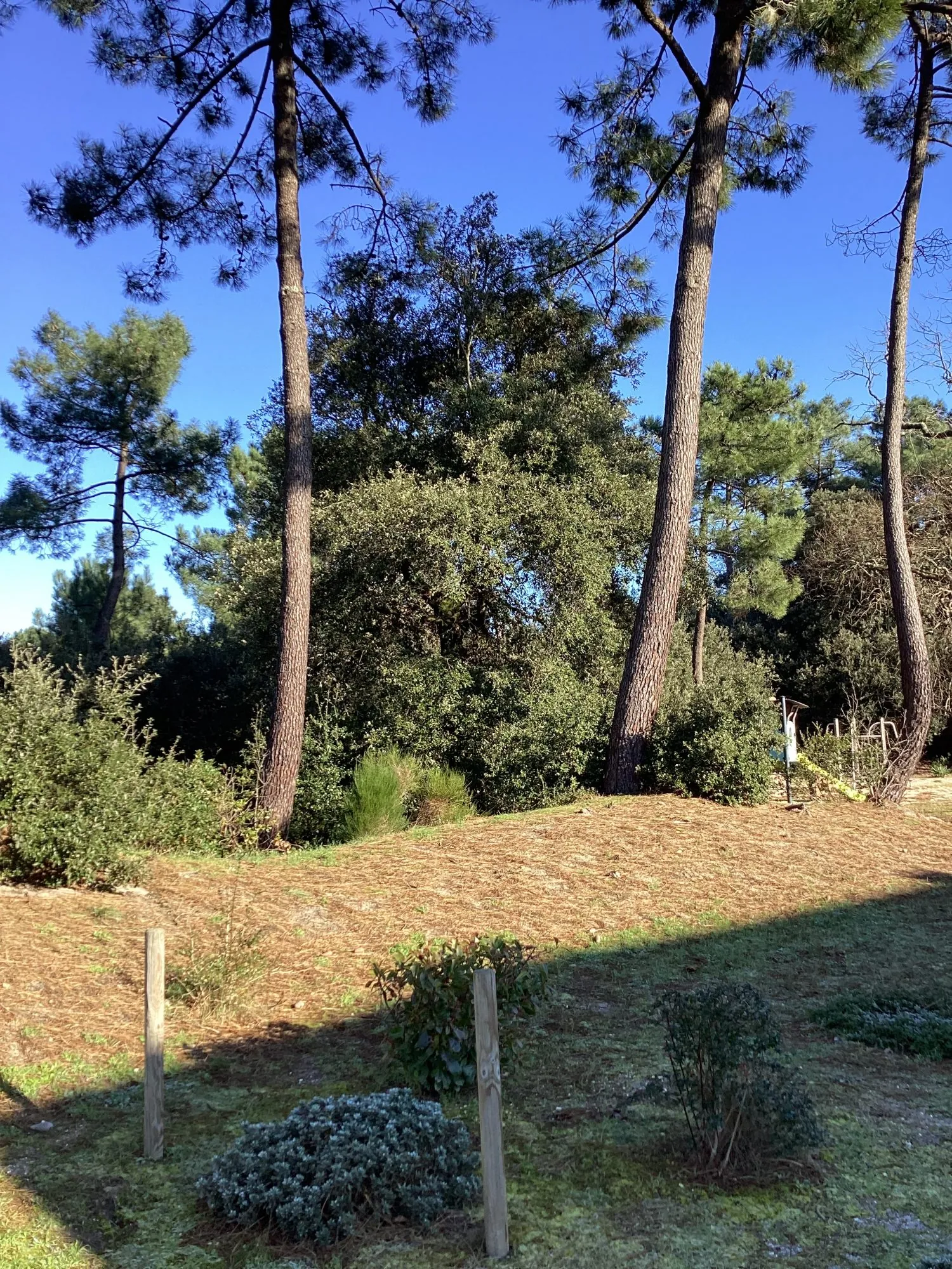 FORET + JEUX D'ENFANTS Charmant T1 avec terrasse au Verdon-sur-Mer, résidence calme proche plages et commerces 