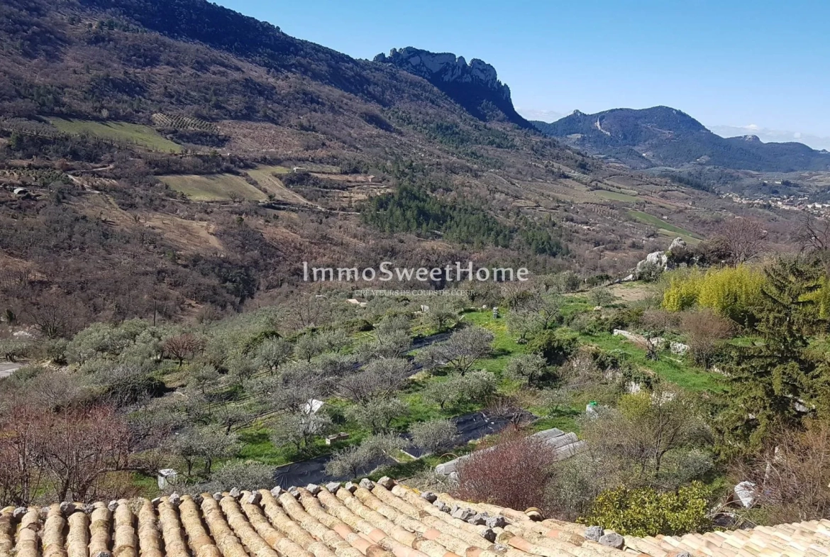 Petite maison à rénover proche de Buis-les-Baronnies - Potentiel intéressant 