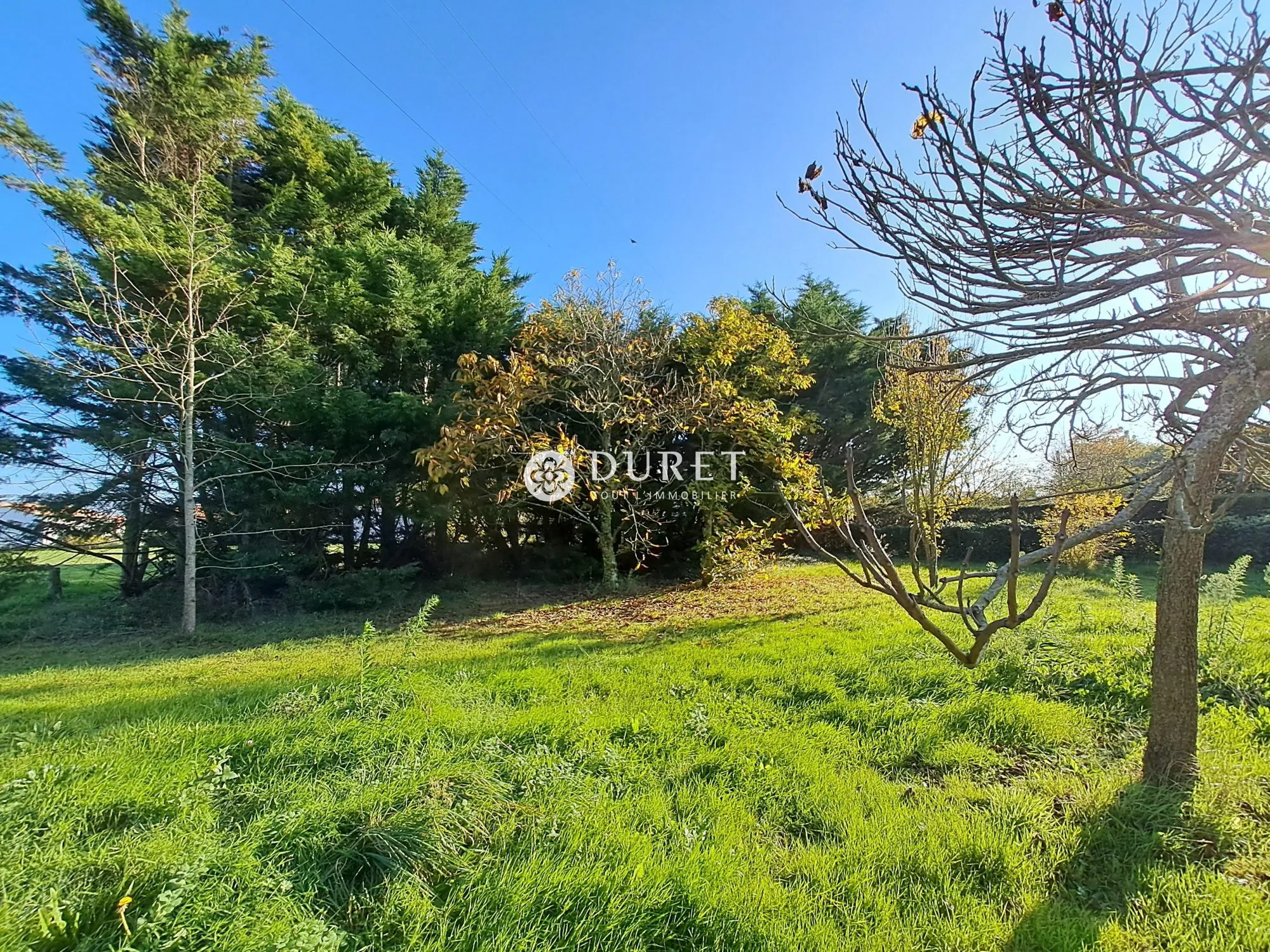 Terrain constructible à Soullans de 754 m² en zone UB, calme et libre de constructeur 