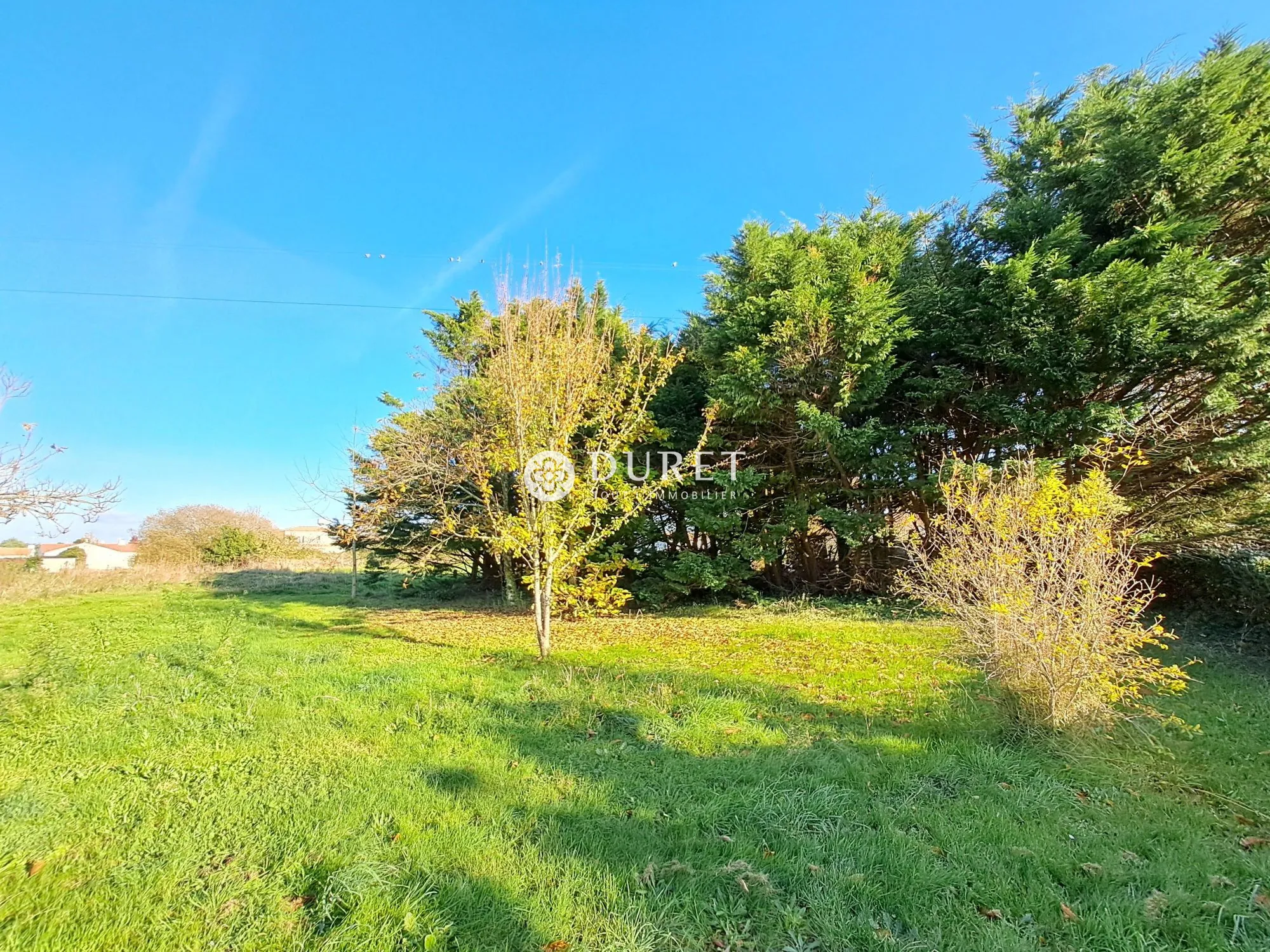 Terrain constructible à Soullans de 754 m² en zone UB, calme et libre de constructeur 
