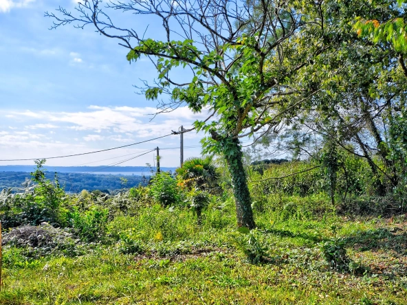 Terrain constructible de 1000 m² à Plougastel-Daoulas - Vue dégagée et proximité mer