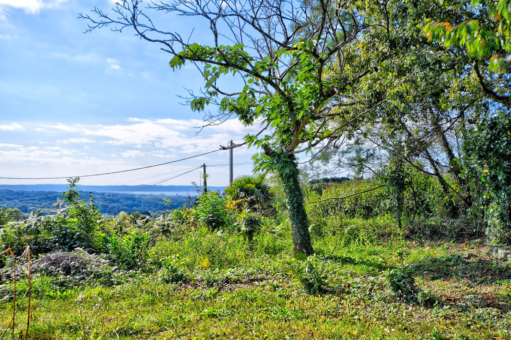 Terrain constructible de 1000 m² à Plougastel-Daoulas - Vue dégagée et proximité mer 