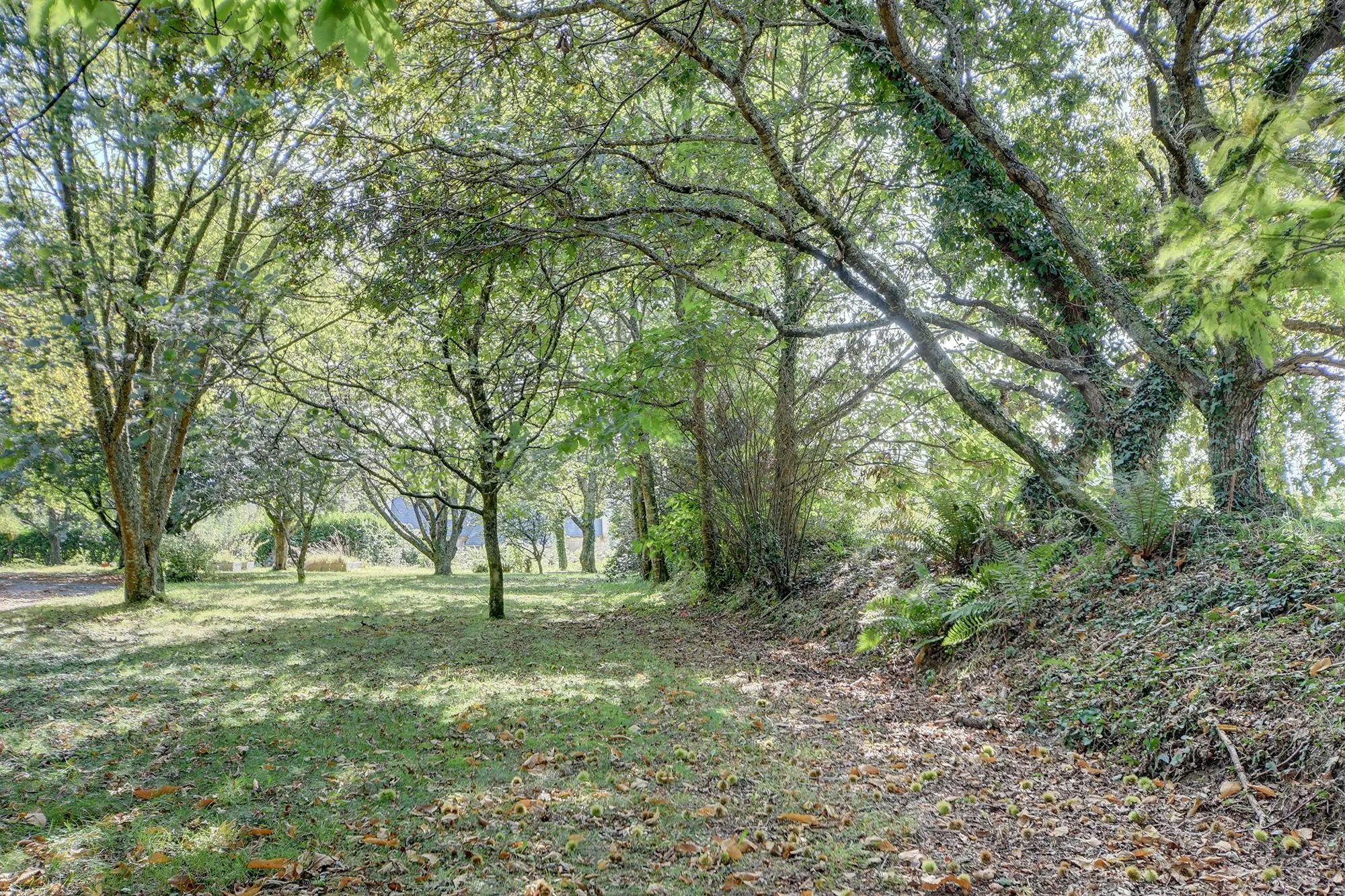 Terrain constructible de 1000 m² à Plougastel-Daoulas - Vue dégagée et proximité mer 