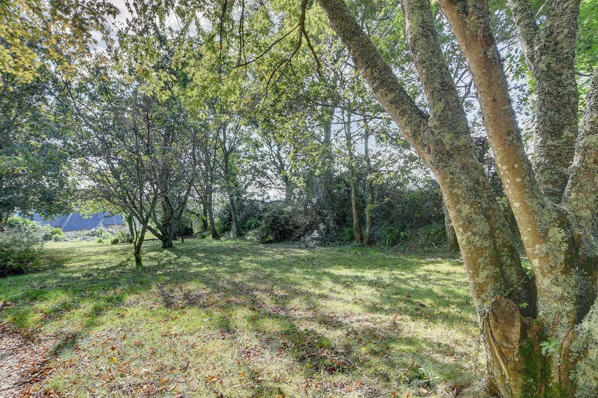Terrain constructible de 1000 m² à Plougastel-Daoulas - Vue dégagée et proximité mer 