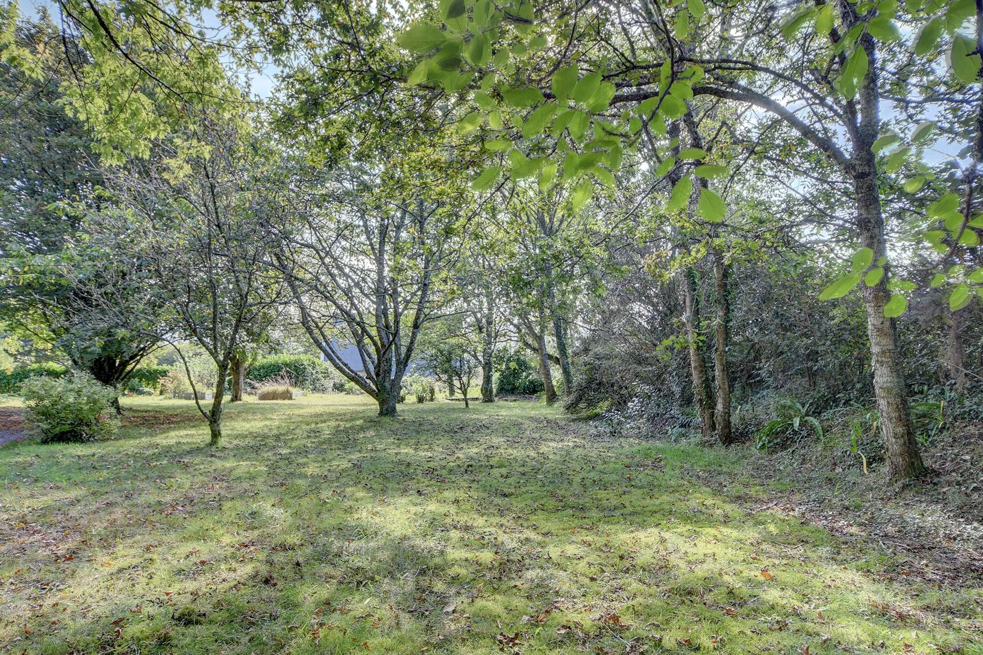 Terrain constructible de 1000 m² à Plougastel-Daoulas - Vue dégagée et proximité mer 