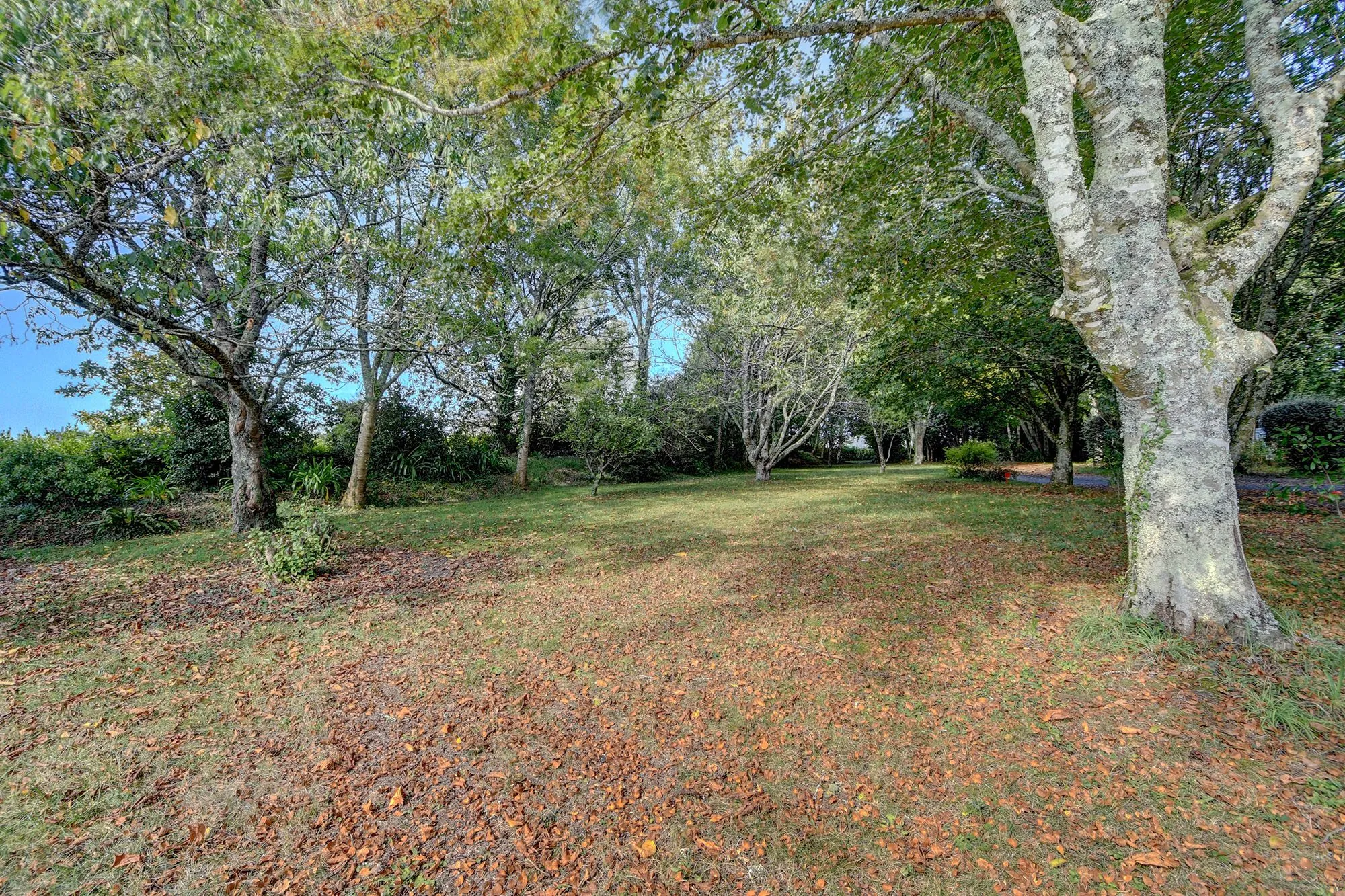 Terrain constructible de 1000 m² à Plougastel-Daoulas - Vue dégagée et proximité mer 