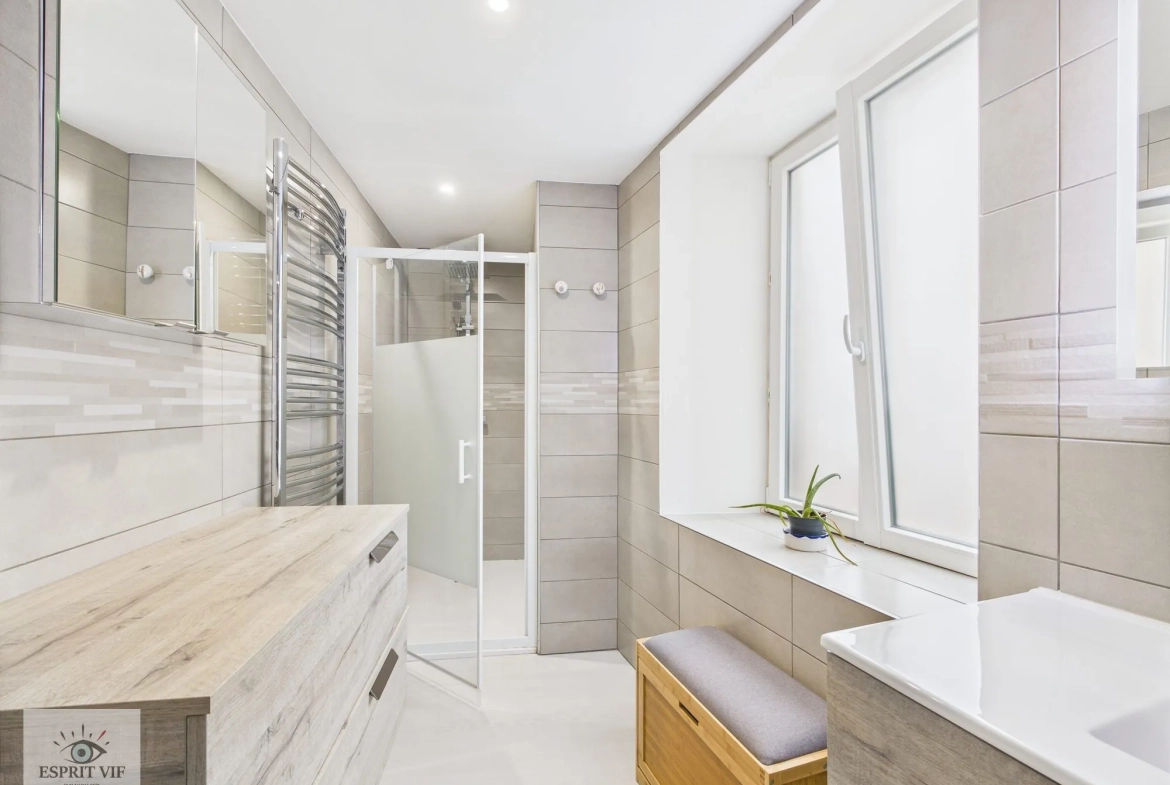 Immeuble rénové avec duplex et appartement indépendant à Vic-sur-Seille 