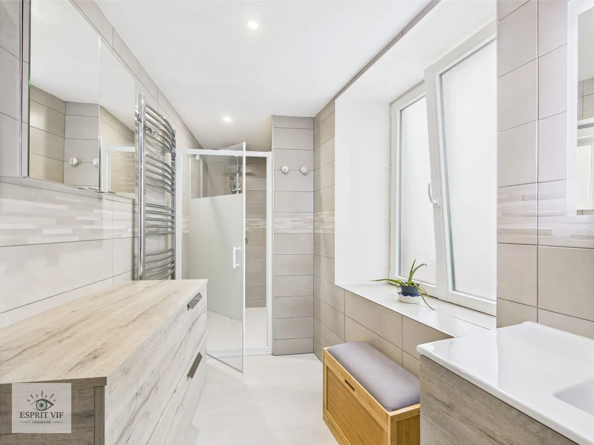 Immeuble rénové avec duplex et appartement indépendant à Vic-sur-Seille 